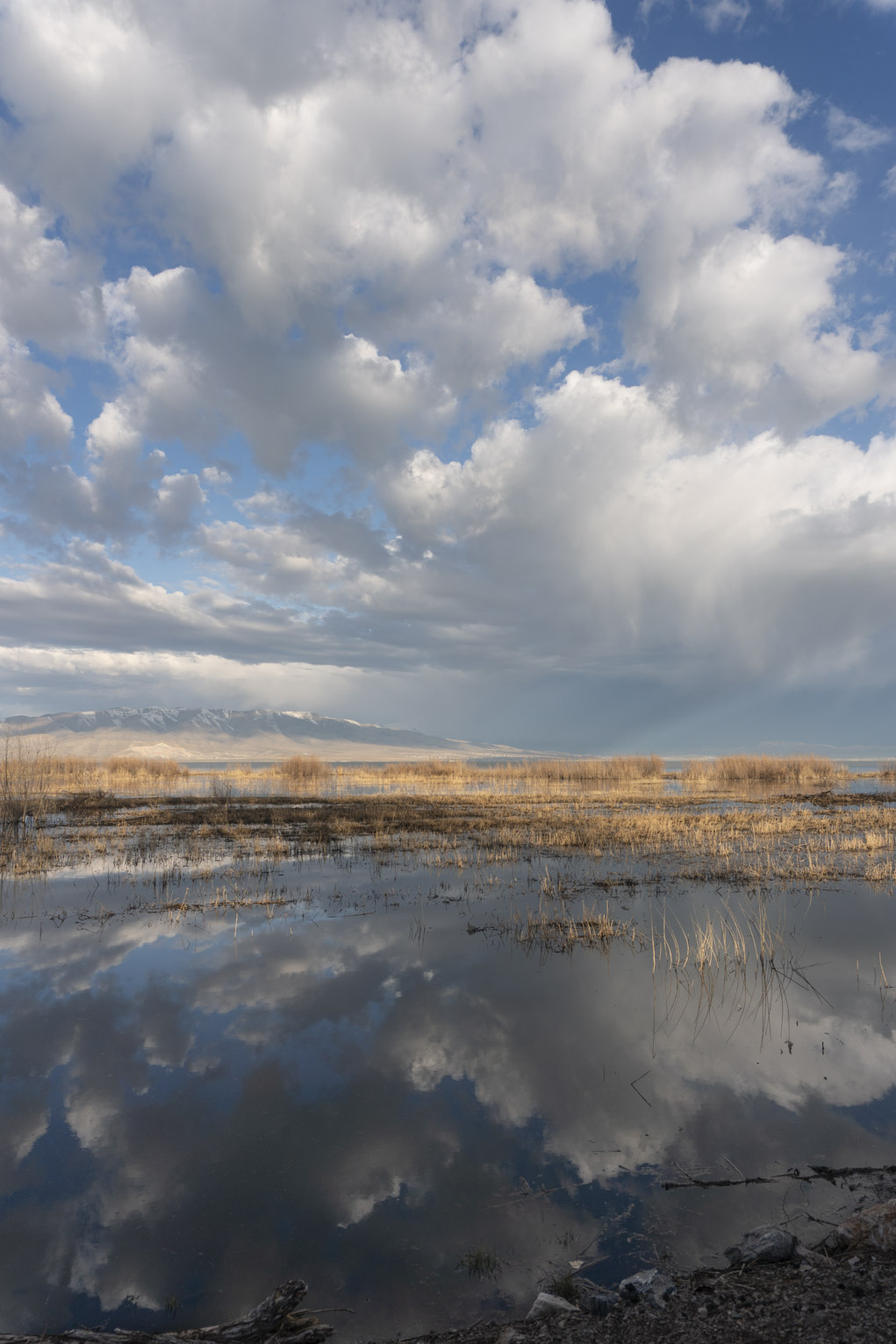 Bubbly clouds up over a bit of rain on the lake